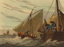 English channel. mackerel for sale  LONDON