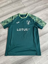 Norwich city green for sale  BIGGLESWADE