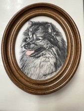 Cultured marble pomeranian for sale  San Diego