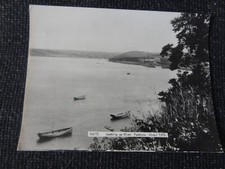 Looking river padstow for sale  ANSTRUTHER