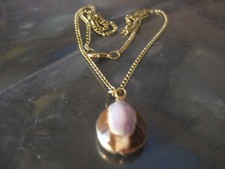 golden cowrie shell for sale  South Hadley