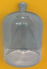 Glass cloche 7in for sale  Georgetown