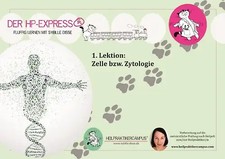 Express lernskript zur gebraucht kaufen  Berlin