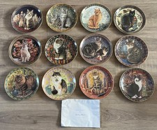 Cats around lesley for sale  BASINGSTOKE