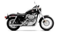 Manuale officina harley usato  Roma