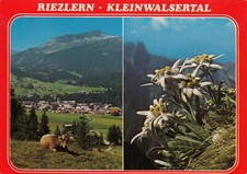 Riezlern kleinwalsertal ansich gebraucht kaufen  Rostock