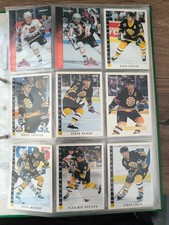 Eishockey sammelkarten 1993 gebraucht kaufen  Bassum
