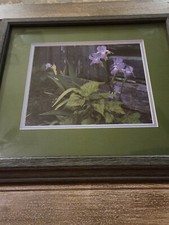 Iris flowers framed for sale  Brush Creek