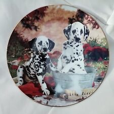 Delightful dalmatians. hamilto for sale  WORKSOP