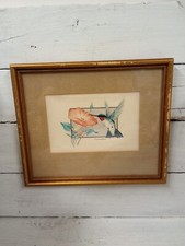 Vintage framed hummingbird for sale  Louisville