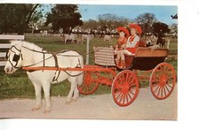 Western dressed children for sale  Pinetop