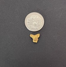 Alaska gold nuggets for sale  Fairbanks
