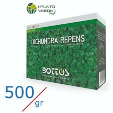 Bottos dicondra repens usato  Corropoli