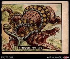 1950 topps bring for sale  Cincinnati