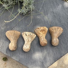 Set antique clawfoot for sale  Wichita