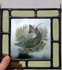 Pike fish stained for sale  BATTLE