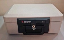 Sentry 1100 fire for sale  MACCLESFIELD