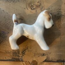 Fox terrier dog for sale  BRISTOL
