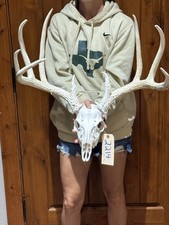 full mount taxidermy for sale full mount taxidermy for sale Harper
