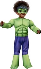 Rubie costume hulk usato  Randazzo