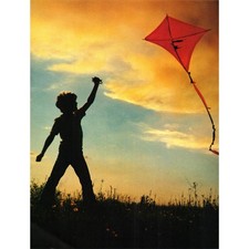 Boy flying kite for sale  Hinckley