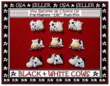 Black white cow for sale  Spring Hill