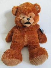 Rainbow bungle bear for sale  COALVILLE