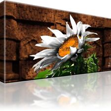 Sonnenblume blume bild gebraucht kaufen  Deutschland