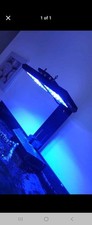 Reef factory flare for sale  BANGOR