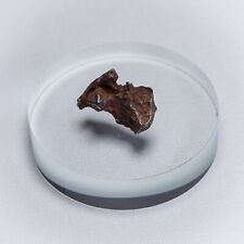 Sikhote alin meteorit gebraucht kaufen  München