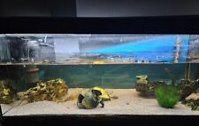 Aquarium komplett 200l gebraucht kaufen  Hannover