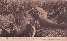 Carte postale postcard d'occasion  Bourg-de-Péage