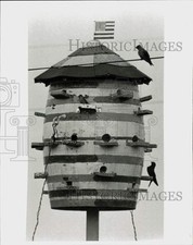 1971 press photo for sale  Memphis