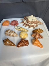 Set ceramic seashells for sale  Crown Point