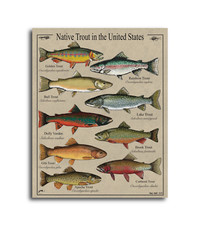 Vintage fishing poster for sale  Addison