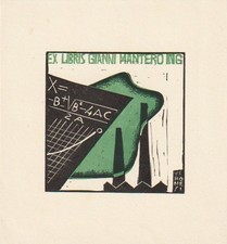 Luigi veronesi libris usato  Italia