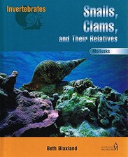 Mollusks snails clams for sale  UK