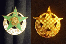 Insigne militaire régiment d'occasion  Meung-sur-Loire