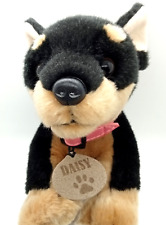 Daisy female chihuahua for sale  EDINBURGH