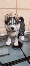 husky puppies for sale  MALTON