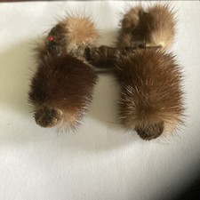 Mink poodle dog for sale  Ludlow