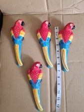 Four macaw parrots for sale  BIRMINGHAM