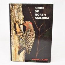 Birds north america for sale  Miami
