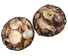 Decorative seashell basket for sale  USA