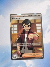 Carte pokémon norman d'occasion  Chartres-de-Bretagne