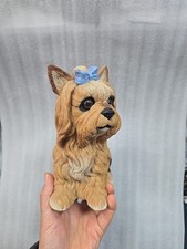 Yorkshire terrier dog for sale  PETERBOROUGH
