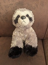 Small aurora racoon for sale  HULL