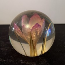 Hafod grange paperweight for sale  CHESTERFIELD