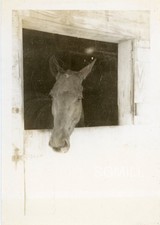 B20 vintage photo for sale  Rochester
