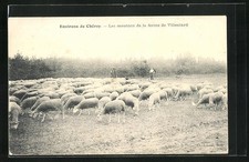 Old postcard chéroy d'occasion  Expédié en Belgium